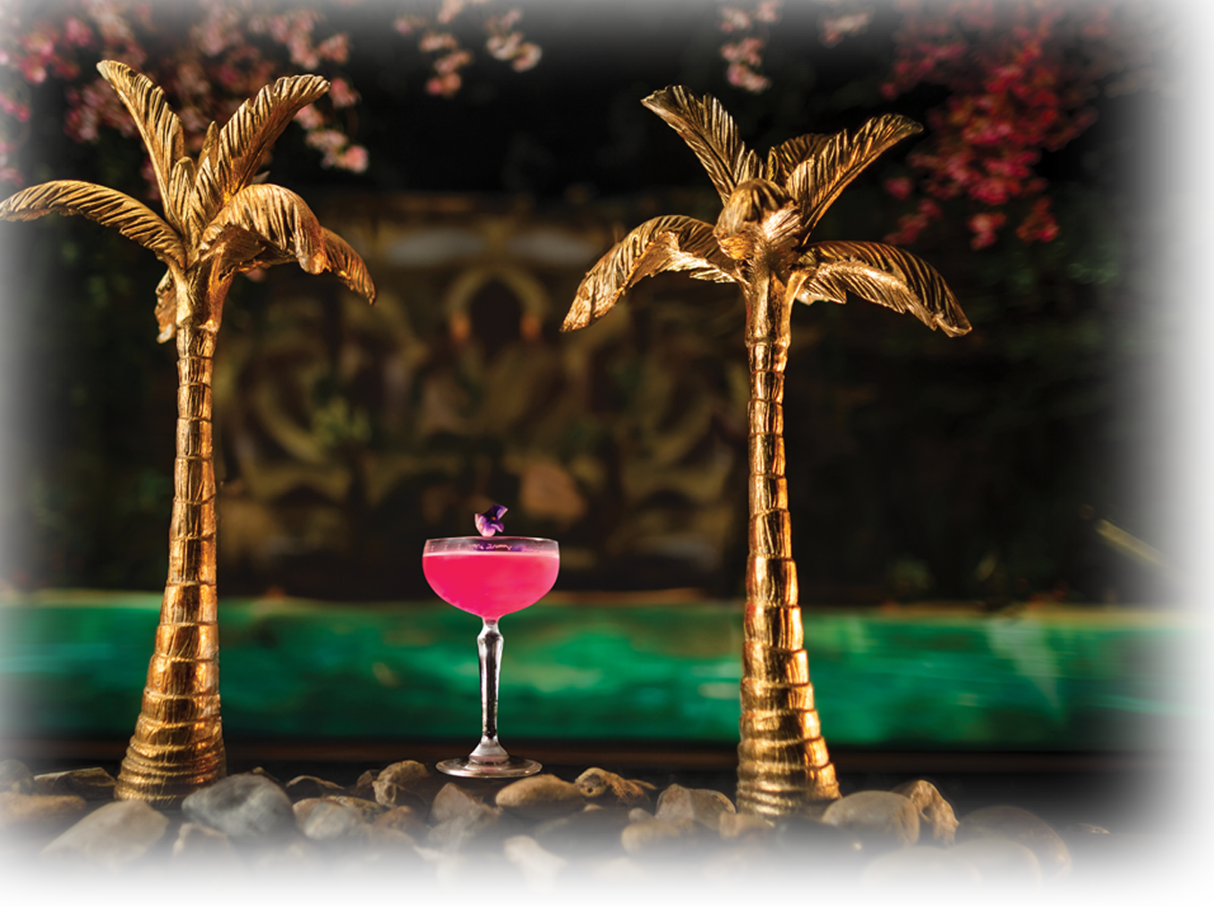 baby dragon cocktails in enmore